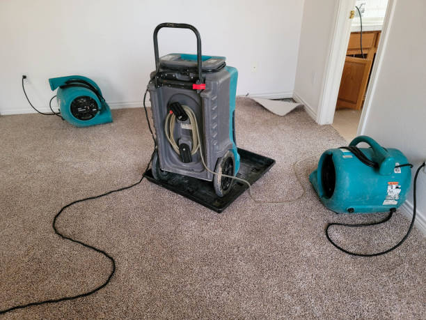 Best Sewage cleanup and water damage restoration  in Toro Nyon, CA